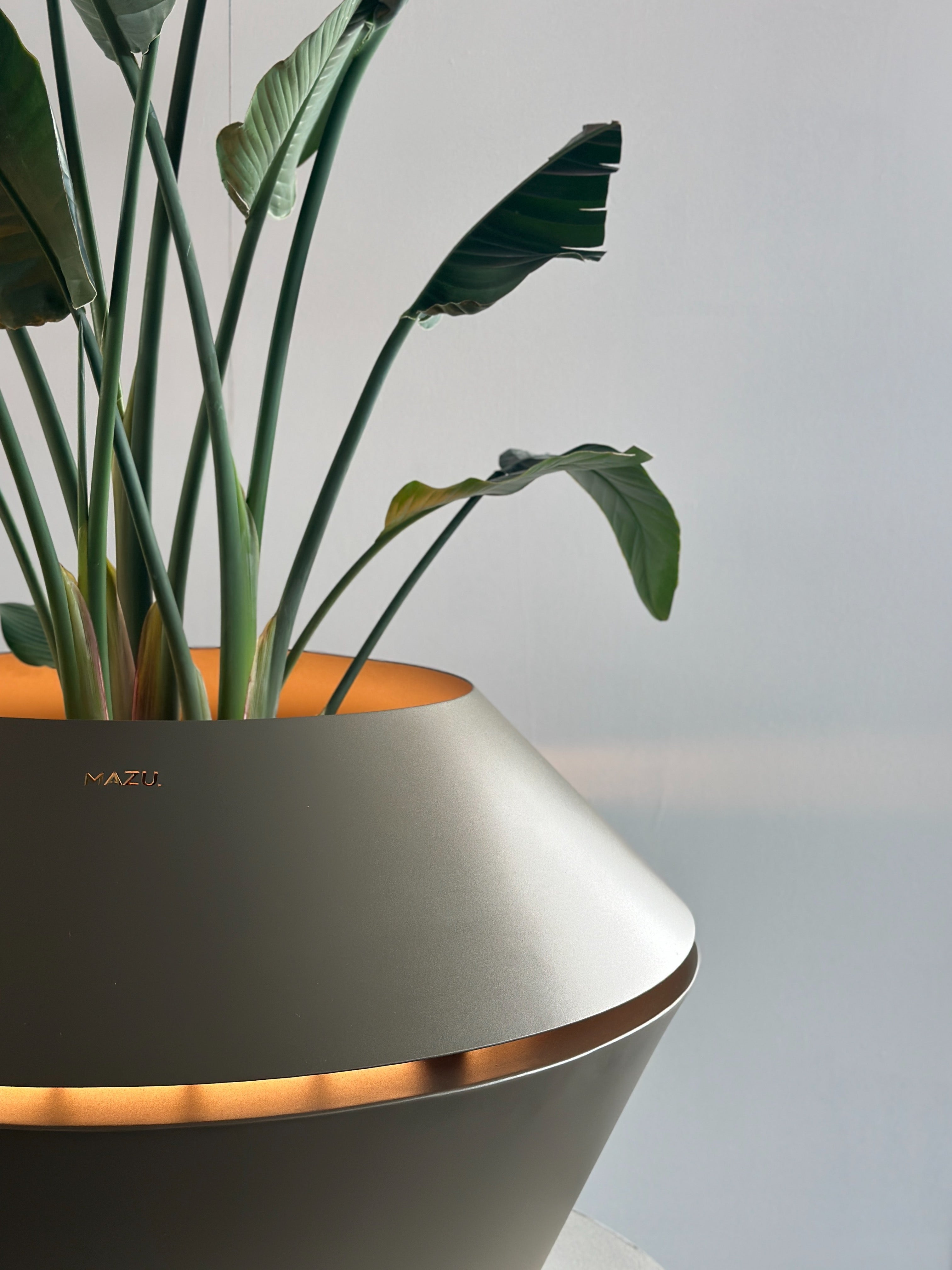 Mazu Oyster Planter met LED-verlichting Exclusieve plantenbak