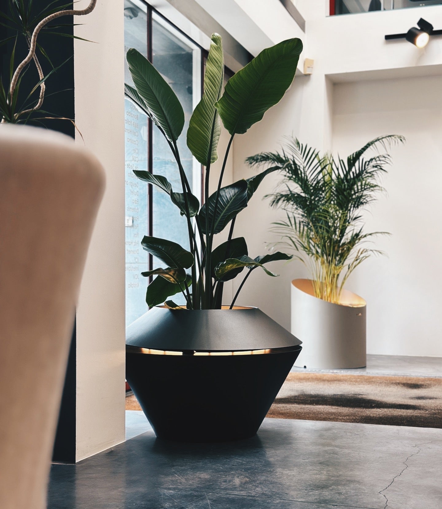 Mazu Oyster Planter met LED-verlichting Exclusieve plantenbak